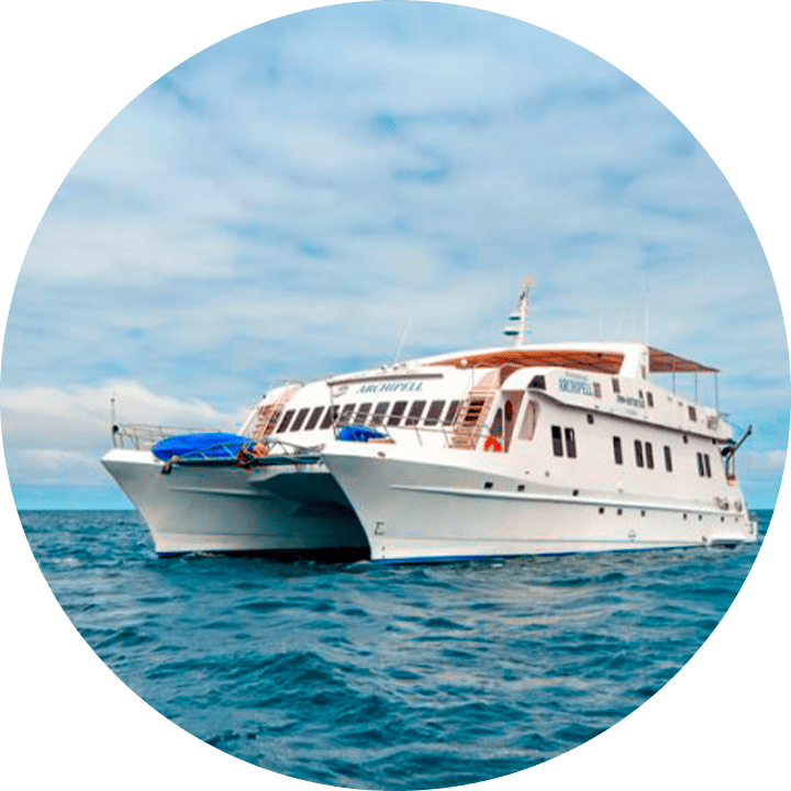 CRUCEROS DISCOVERY 1