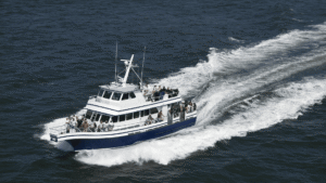 Ferry