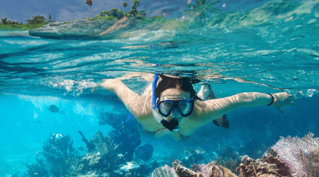 Mascara y tubo de snorkel 1