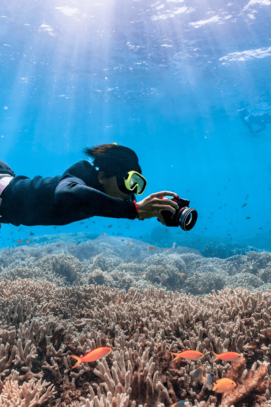 Buceo Isla Tortuga 1