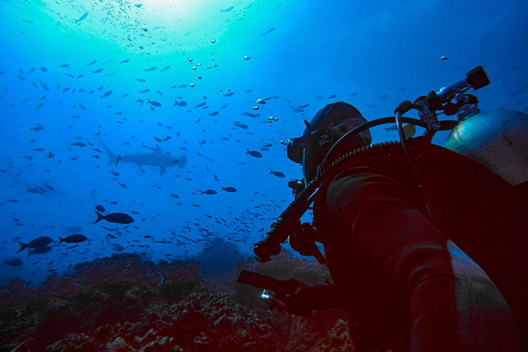 CRUCERO-DIVING-6