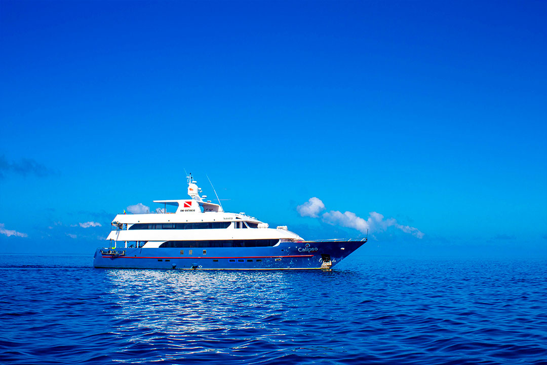 CRUCERO-DIVING