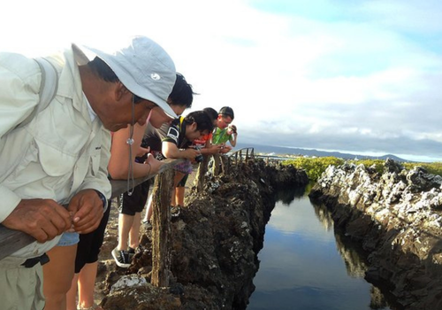 FOTO PRINCIPAL FINAL