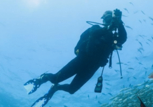 Buzo en Galápagos
