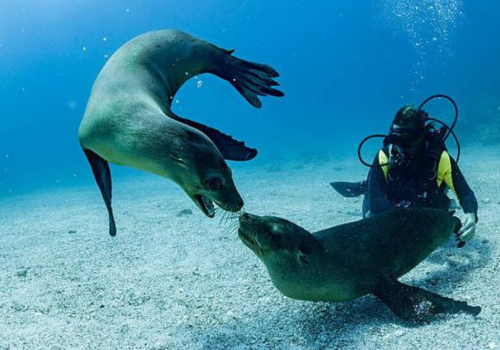 Buceo Seymour Mosquera 3