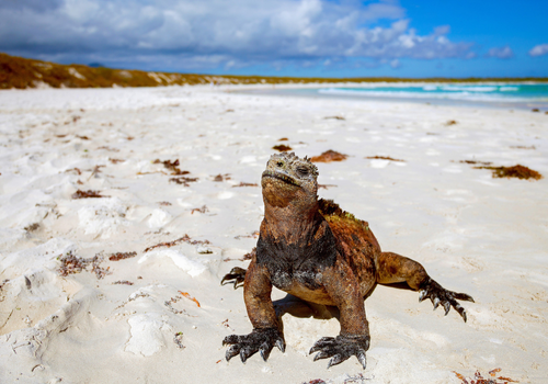 foto pricipal paquete puerto ayora