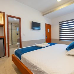 WhatsApp Image 2025-12-18 at 7.38.46 PM