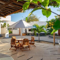 WhatsApp Image 2025-12-18 at 7.38.48 PM (3)